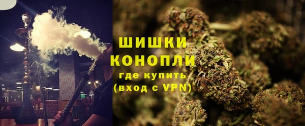 СК Алзамай
