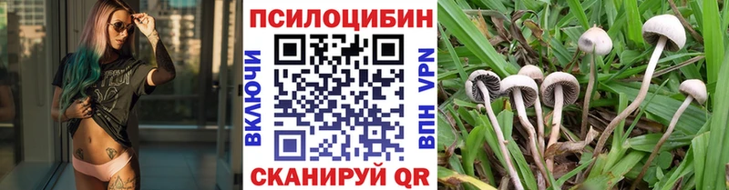 Галлюциногенные грибы MAGIC MUSHROOMS  дарнет шоп  Андреаполь 
